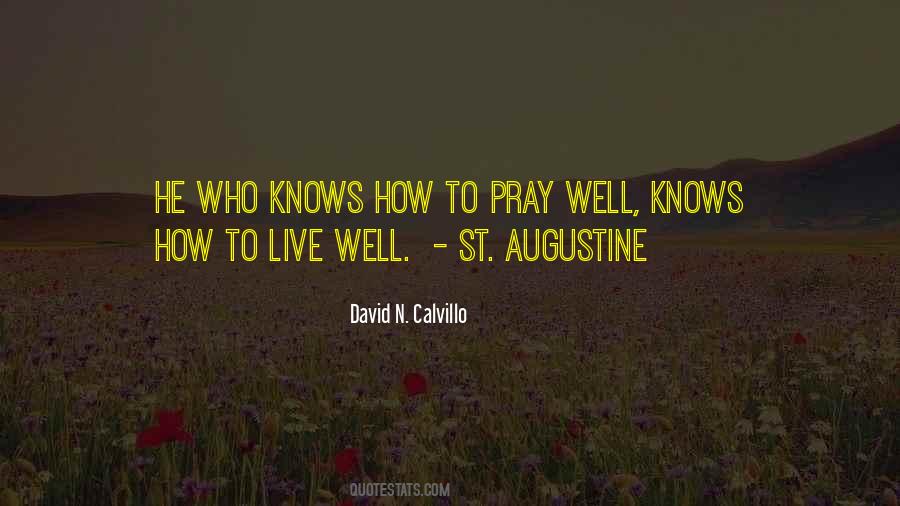 Calvillo Quotes #259064