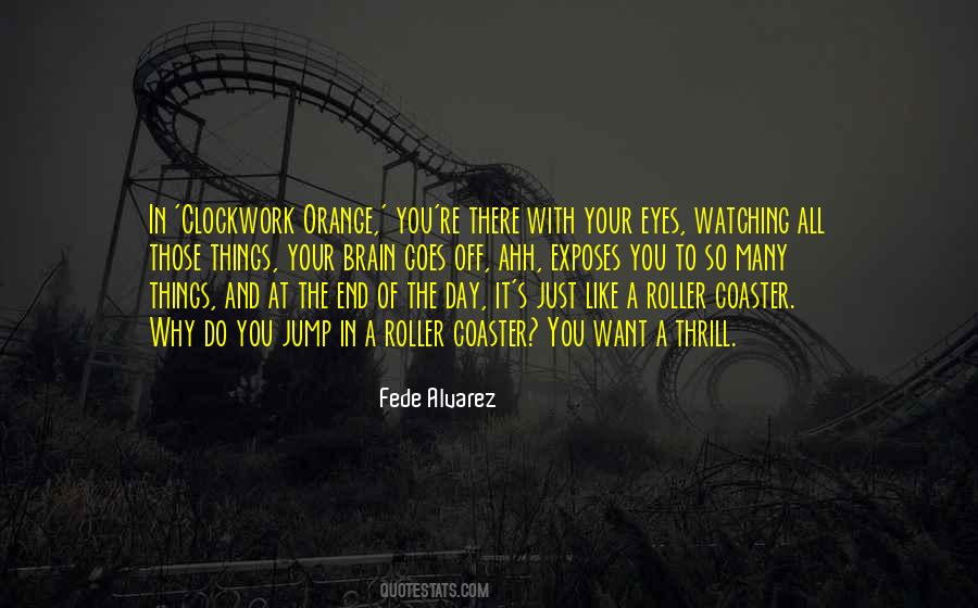 Quotes About Roller Coaster #30496