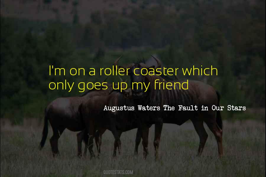 Quotes About Roller Coaster #738386