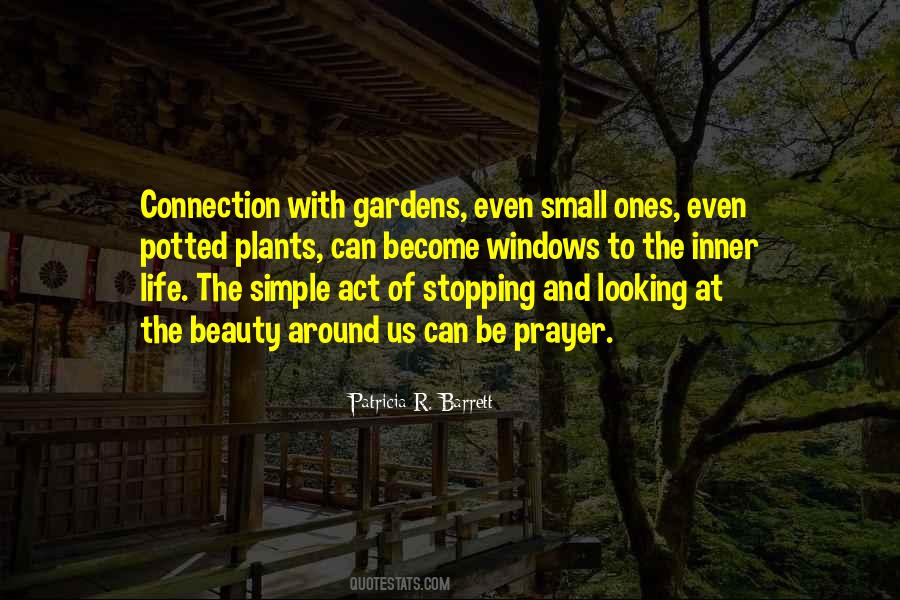 Quotes About Plants #90472