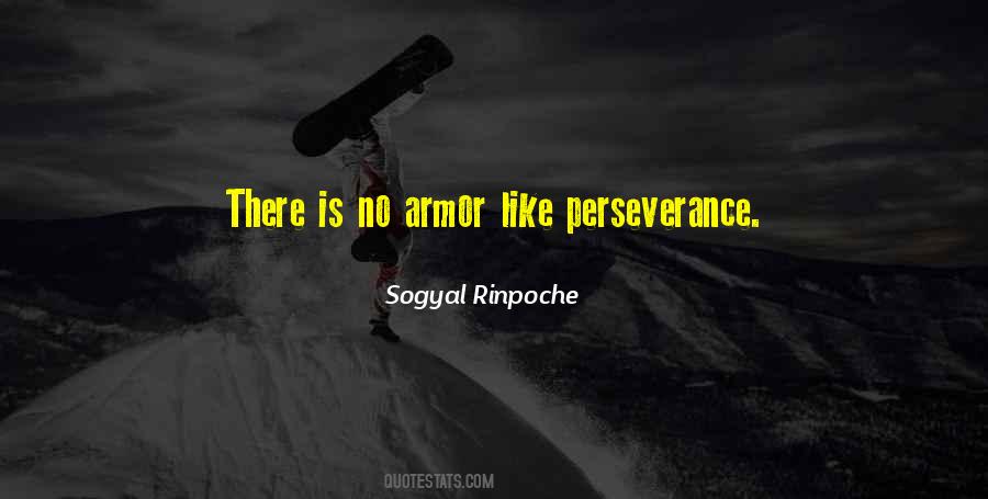 Quotes About Perseverance #1033365