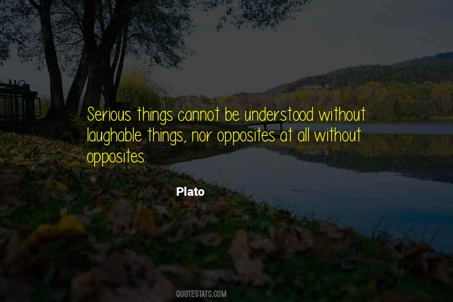 Serious Things Quotes #404496