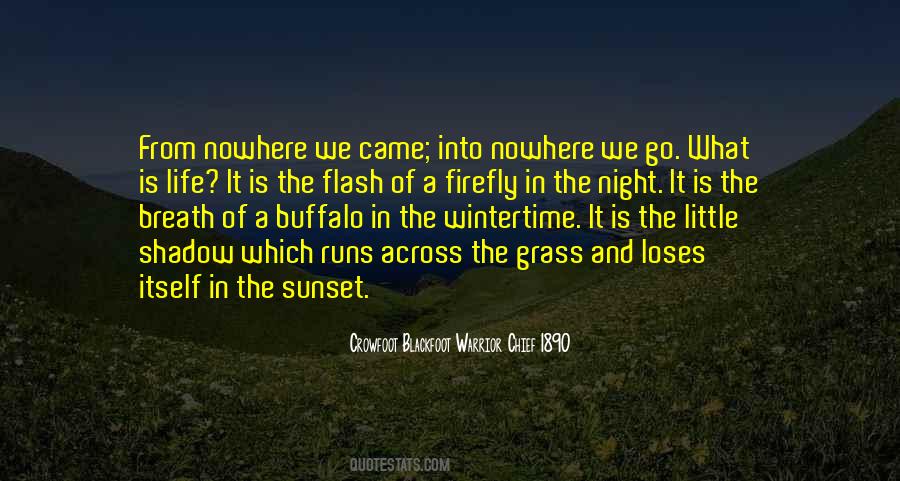 Quotes About Buffalo #1483153