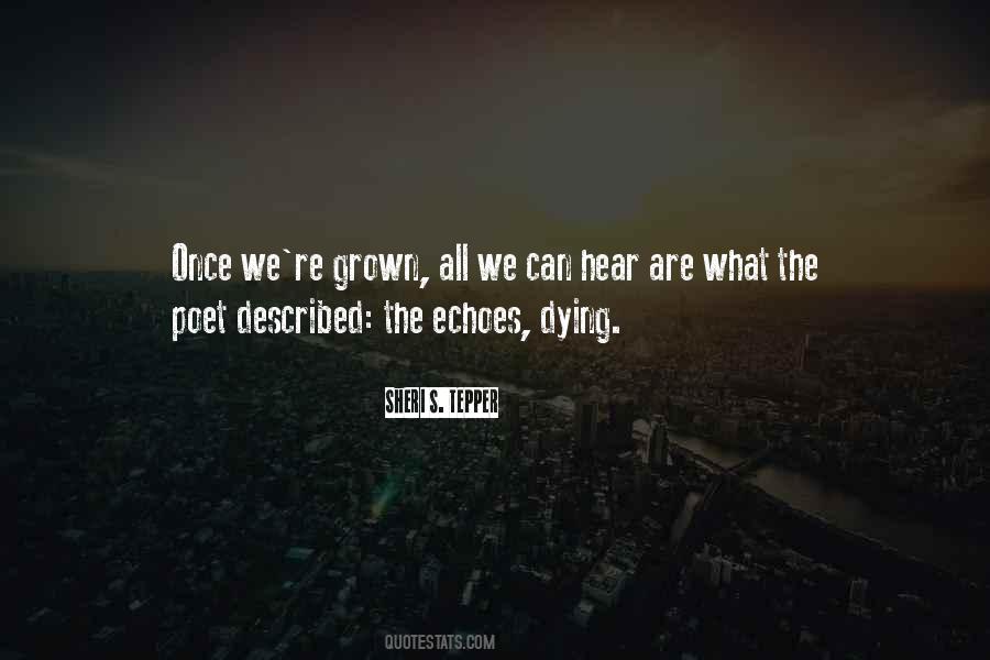 Quotes About Echoes #1091700