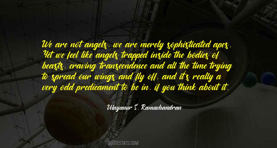 Quotes About Angels Wings #233294