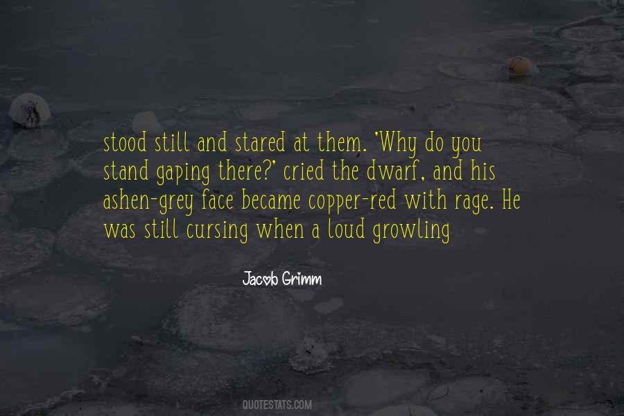 Red Rage Quotes #1595753