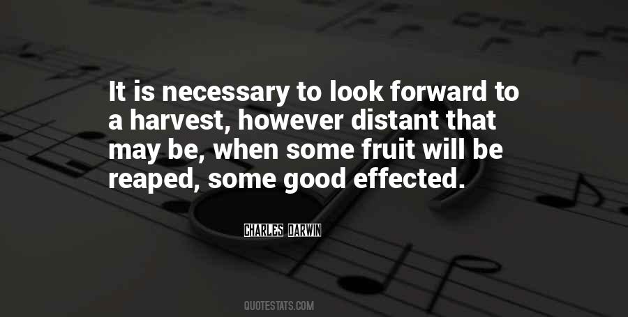 Good Fruit Quotes #1757517