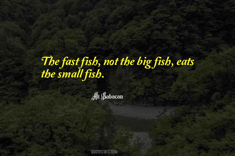 Quotes About Big Fish #1722408