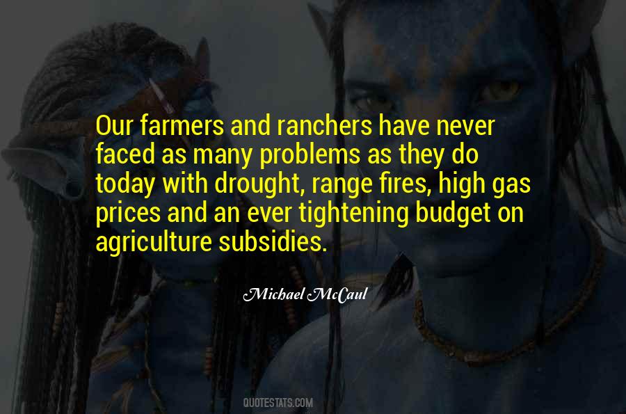 Quotes About Subsidies #1595268