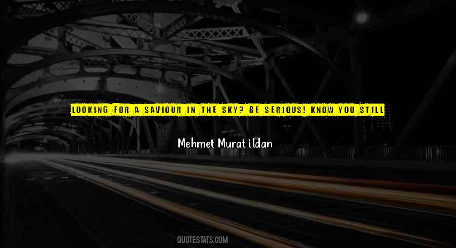 Universe Is Looking Out For You Quotes #1808257
