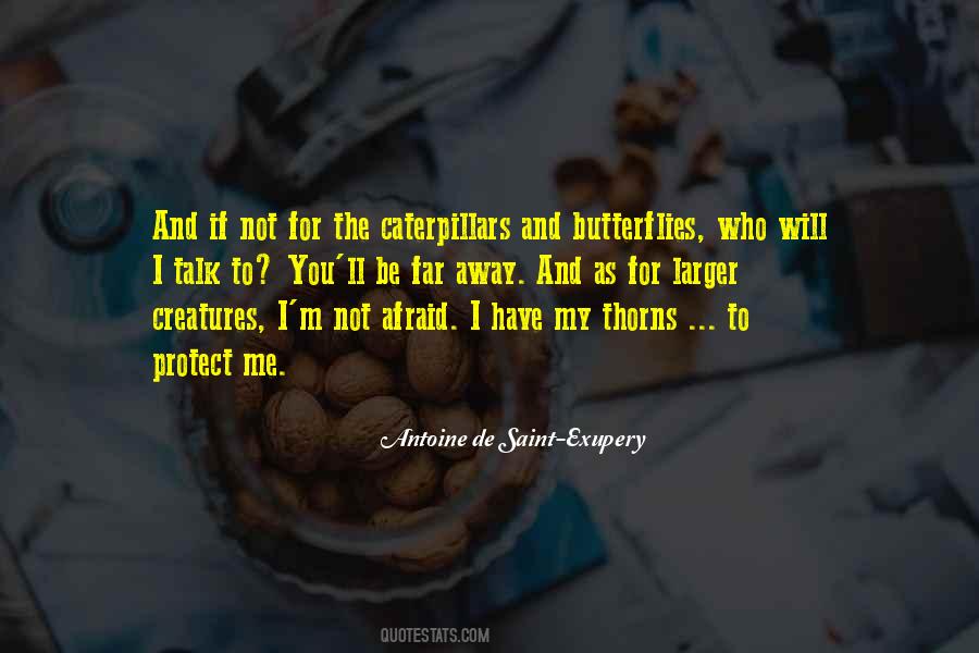 Quotes About Caterpillars And Butterflies #1289330