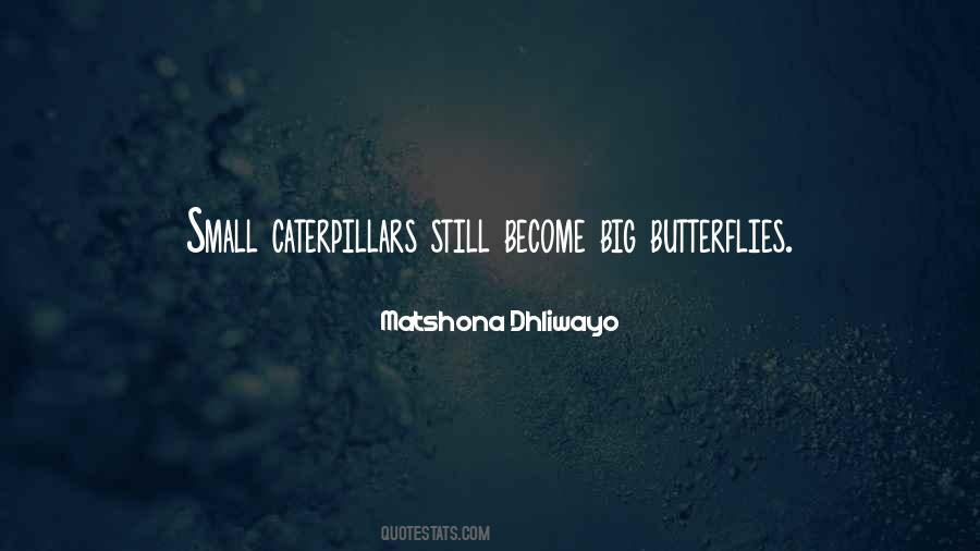 Quotes About Caterpillars And Butterflies #1583733