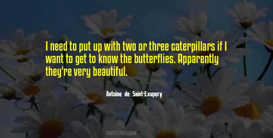 Quotes About Caterpillars And Butterflies #941896