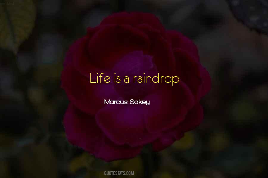 One Raindrop Quotes #1088665