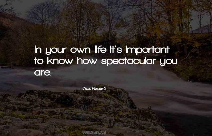 Self Love Empowerment Quotes #504485
