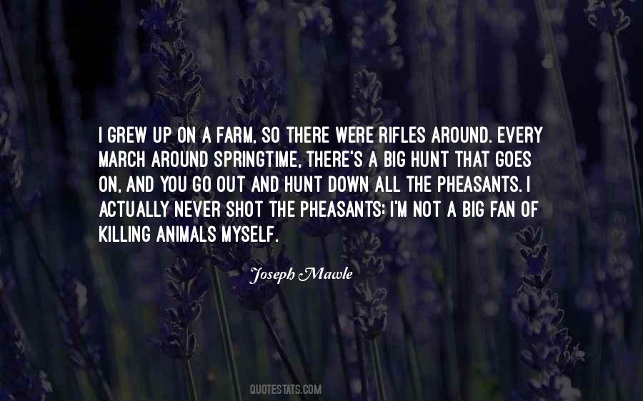 Dulled Anger Quotes #585242
