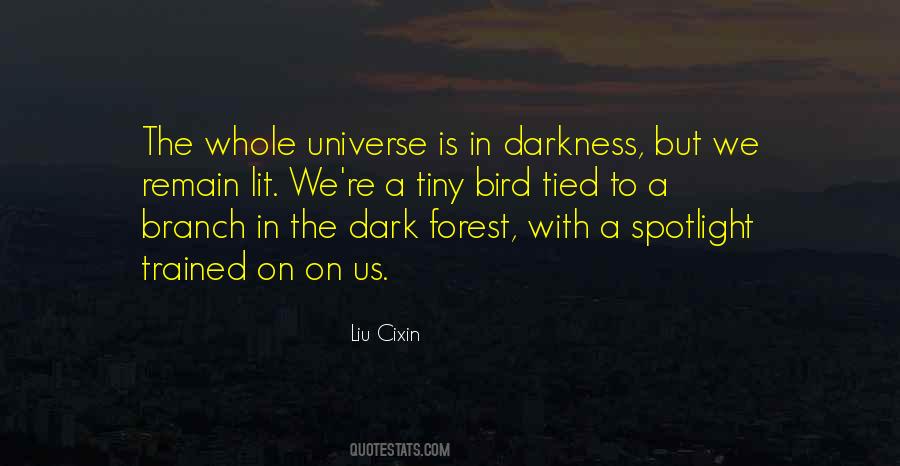 Dark Forest Quotes #1221106