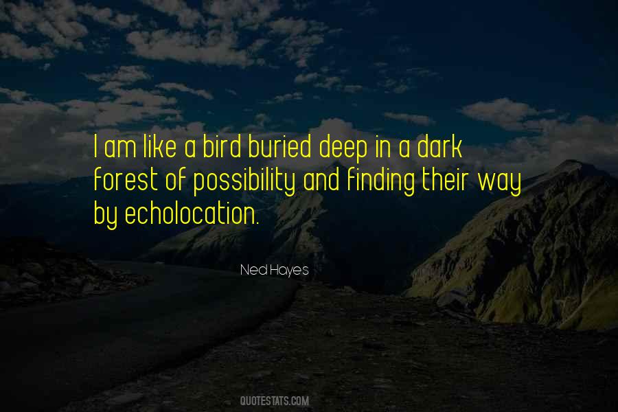 Dark Forest Quotes #1540442