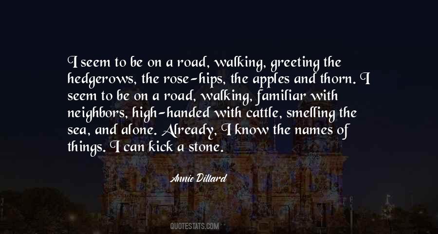 Quotes About High Road #588491