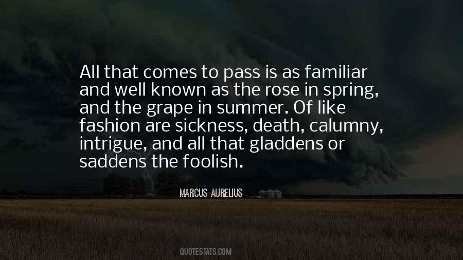 Death And Sickness Quotes #123742