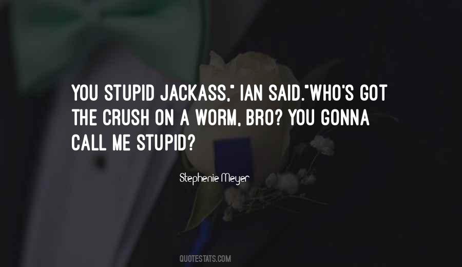 Quotes About A Jackass #183342