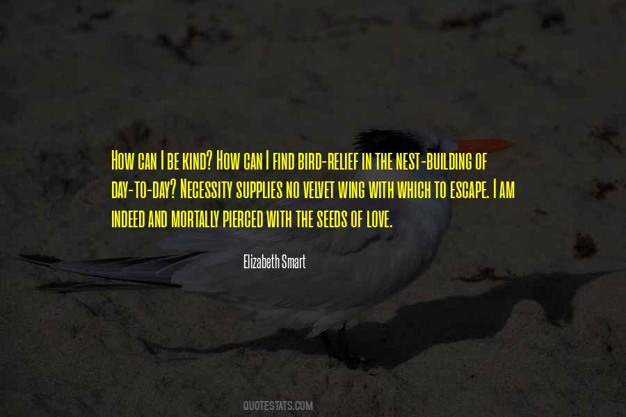 Nest Building Quotes #1235615