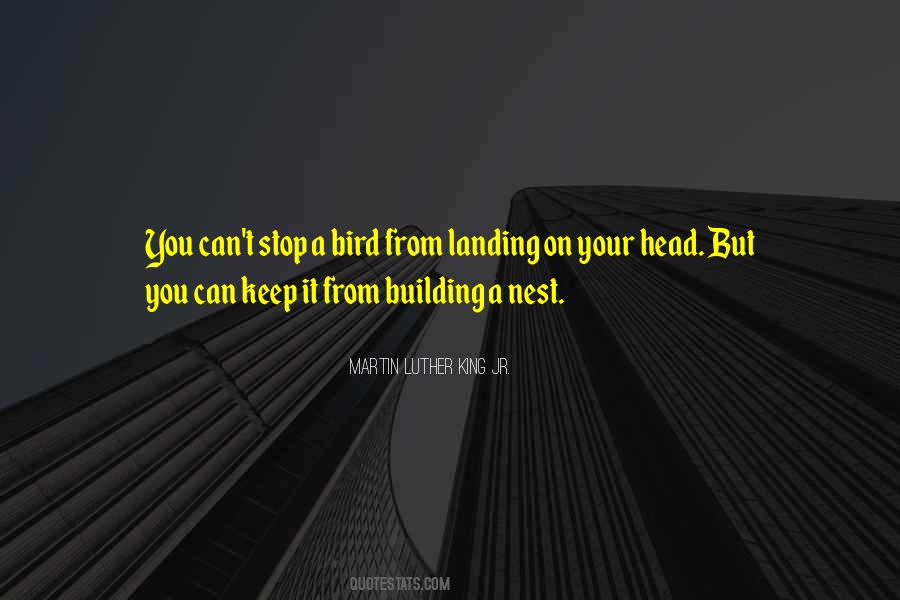 Nest Building Quotes #1623293