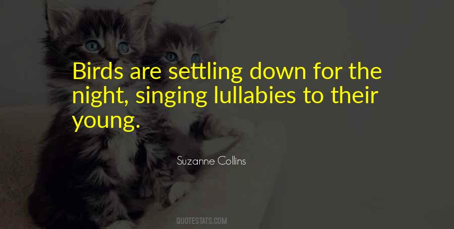 Quotes About Settling Down #471178