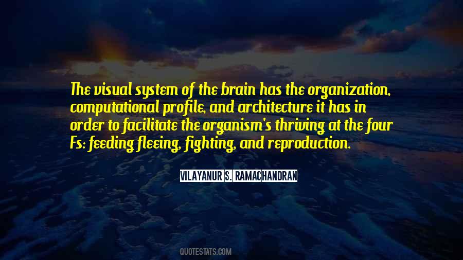 Quotes About Organization And Order #968739