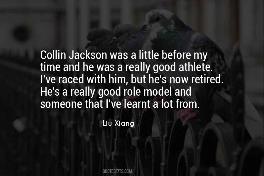 Quotes About My Role Model #243563