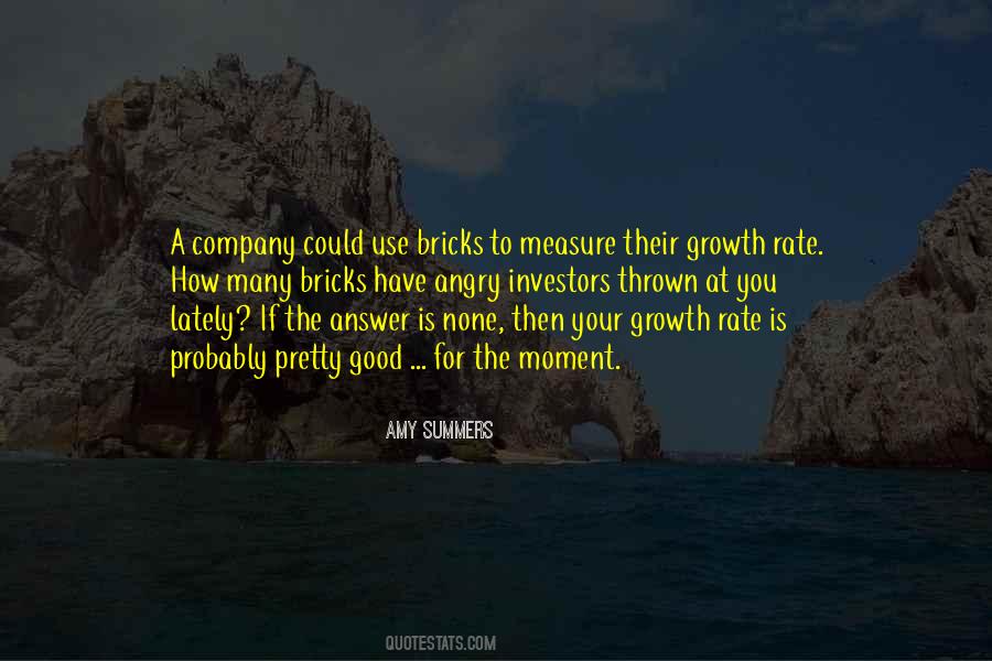 Brick And Blanket Test Quotes #237942