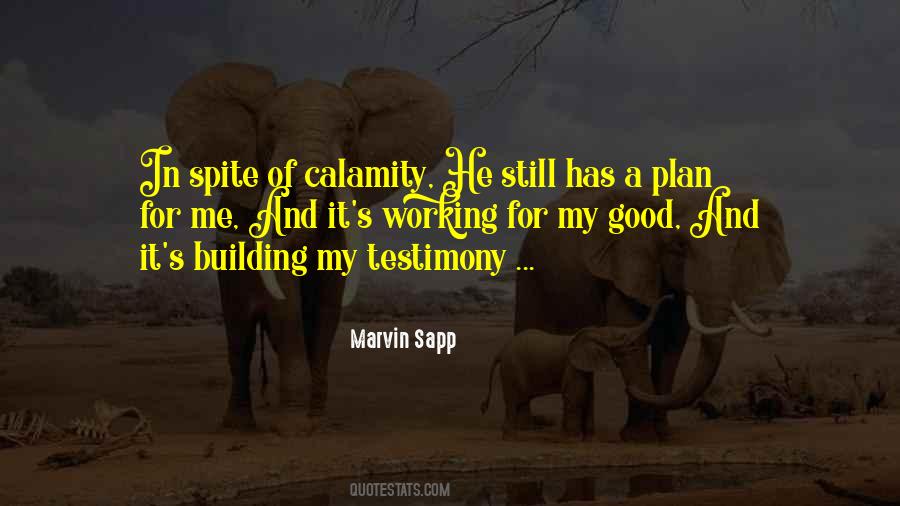 Quotes About Testimony #179237 Quotes About Testimony #179237