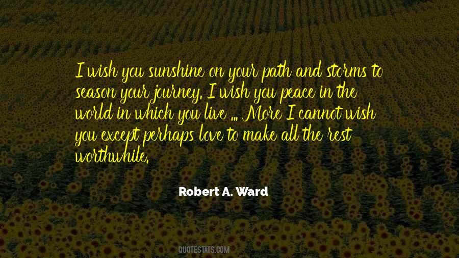 Quotes About Storms And Love #1224894