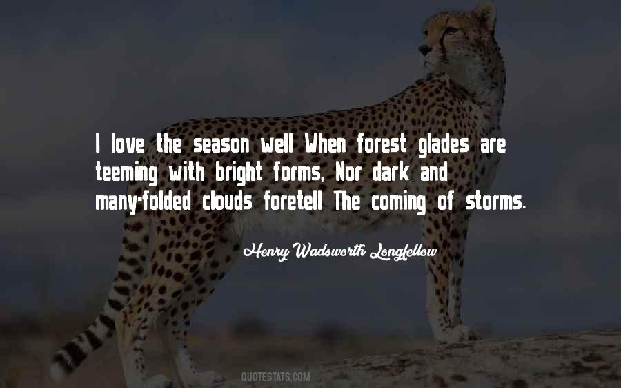 Quotes About Storms And Love #1407733
