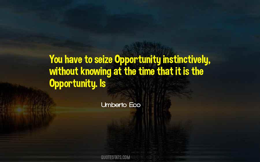 Quotes About Seize The Opportunity #1160786