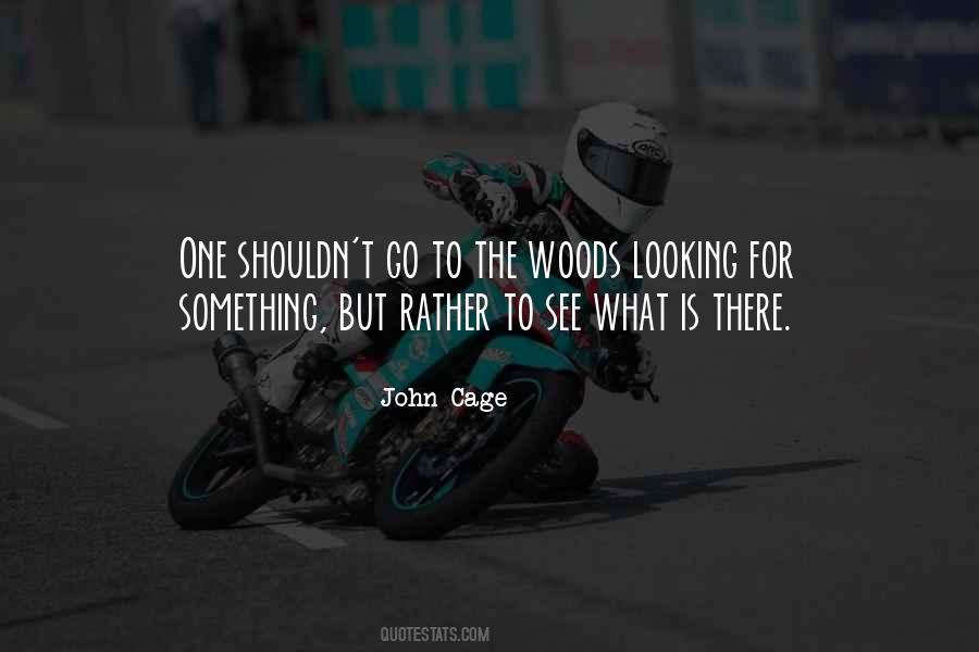 Quotes About Looking For Something #1455662