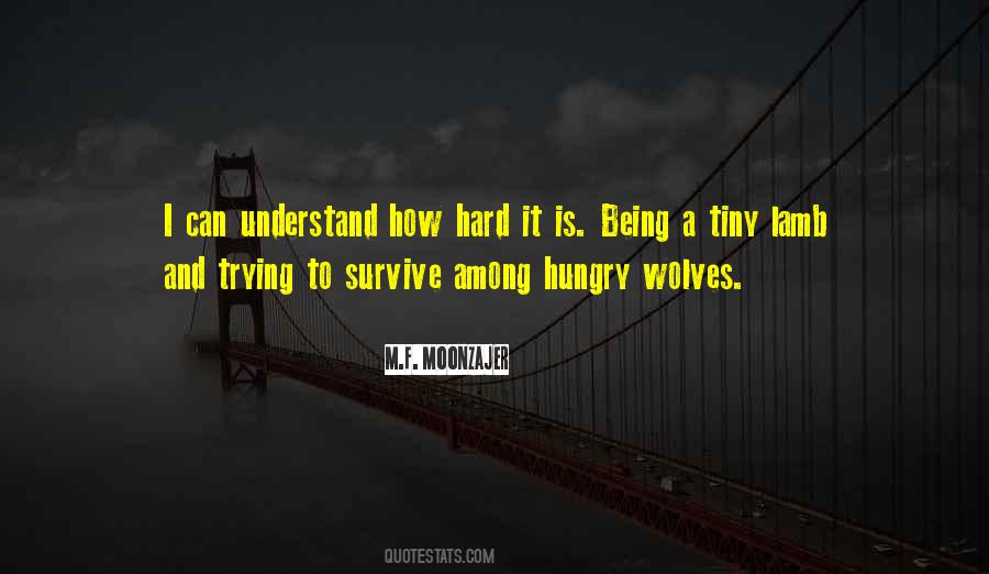 Quotes About Things That Are Hard To Understand #40052