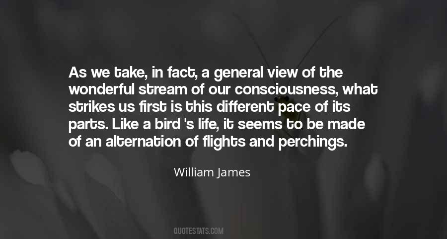 Quotes About Stream Of Consciousness #1206633