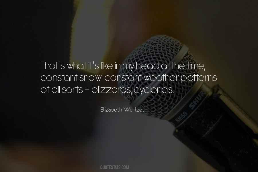 Quotes About Snow Blizzards #959800