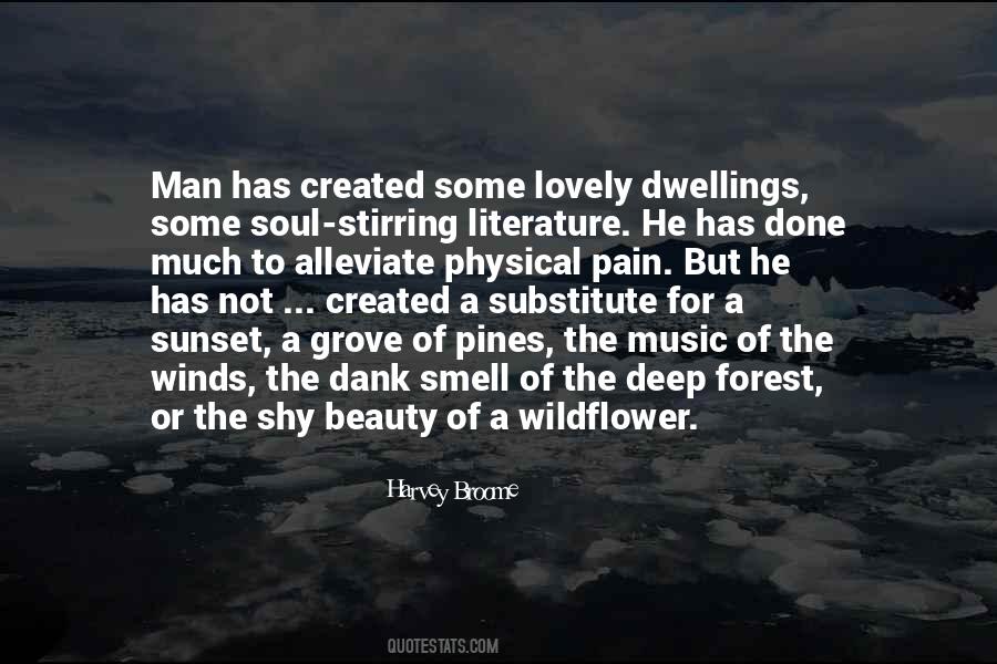 Man Beauty Quotes #293180