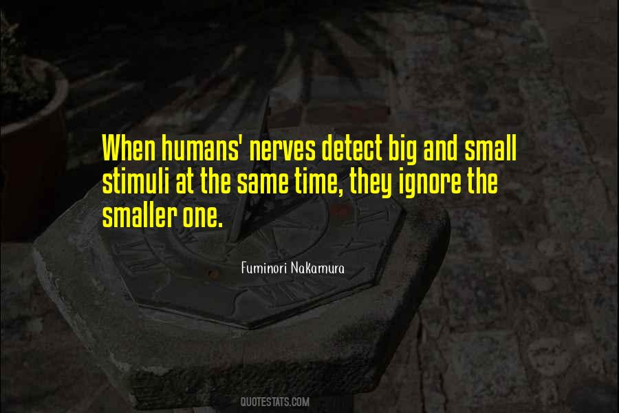 Quotes About Nerves #1086959