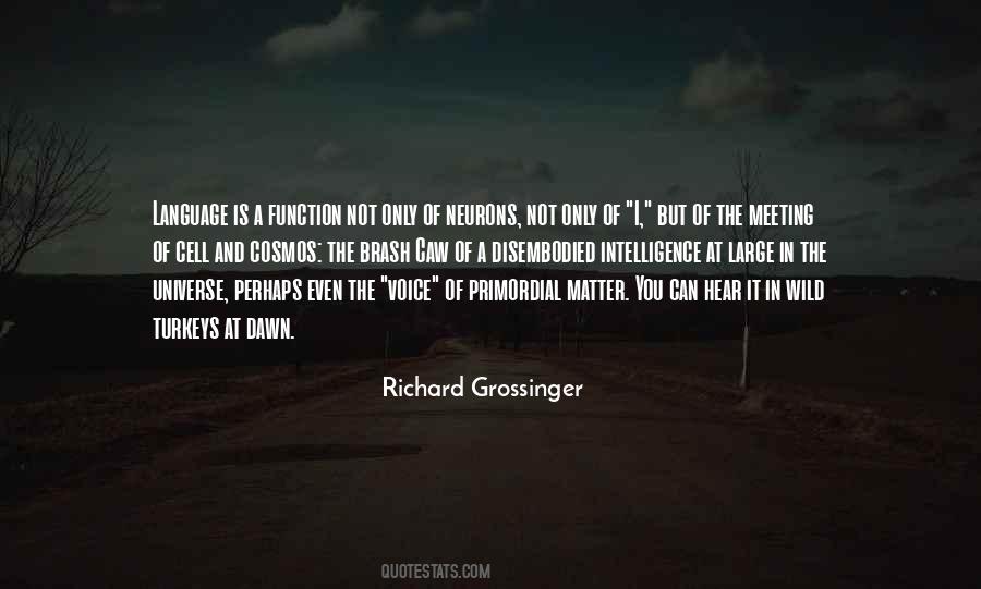 Language Of The Universe Quotes #1796031