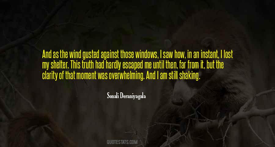 Against The Wind Quotes #717809