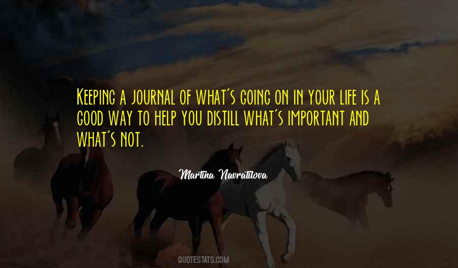 Quotes About A Journal #1159115