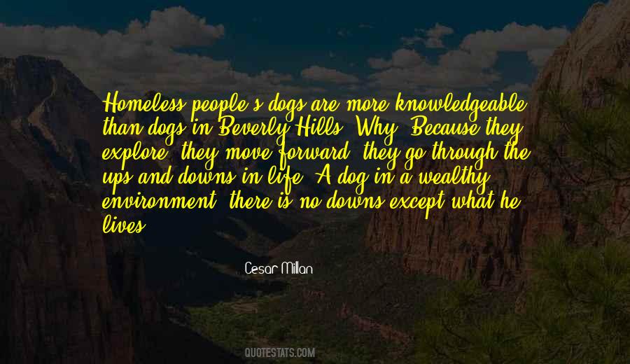 Dog S Life Quotes #1775330