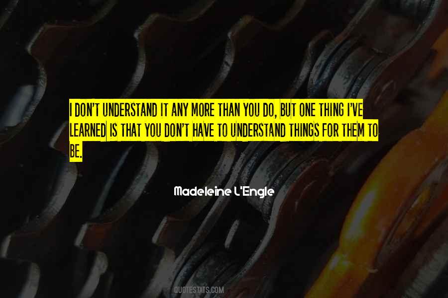 Quotes About Things You Don't Understand #1043503