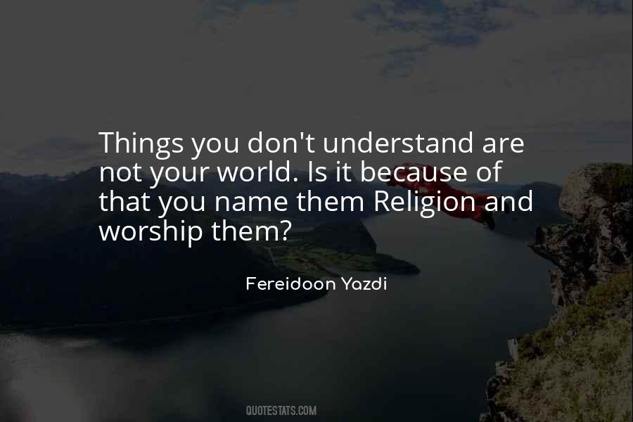 Quotes About Things You Don't Understand #1147512