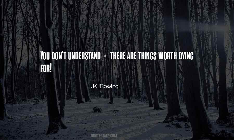 Quotes About Things You Don't Understand #1168144