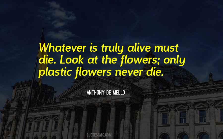 Quotes About Plastic Flowers #1100002