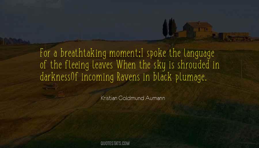 Morbid Romance Quotes #394945